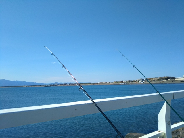 春に堤防釣りで釣れる魚特集 多彩な魚種と釣り方 シュンの釣りdays