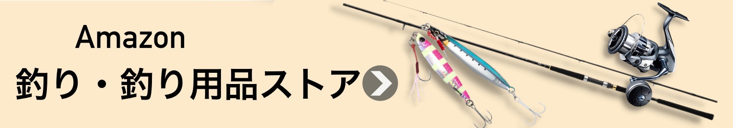 Amazonショアジギングストア