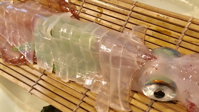 刺身になったイカ